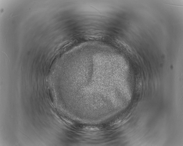 X0000088030749200705251116