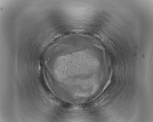 X0000088030750200705251116