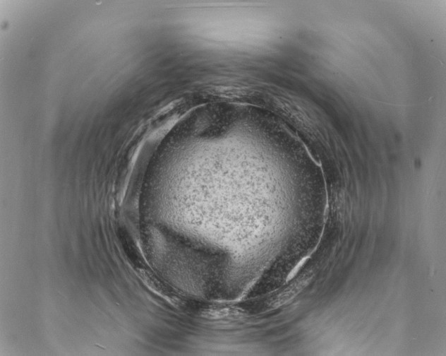 X0000088030752200705251116