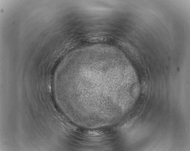 X0000088030753200705251116