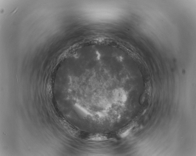 X0000088030754200705251116