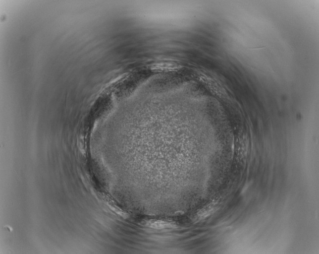 X0000088030755200705251116