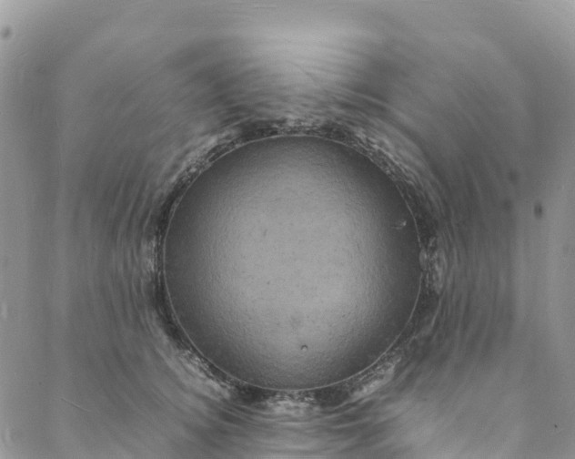 X0000088030756200705251116