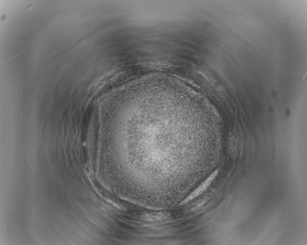 X0000088030757200705251116