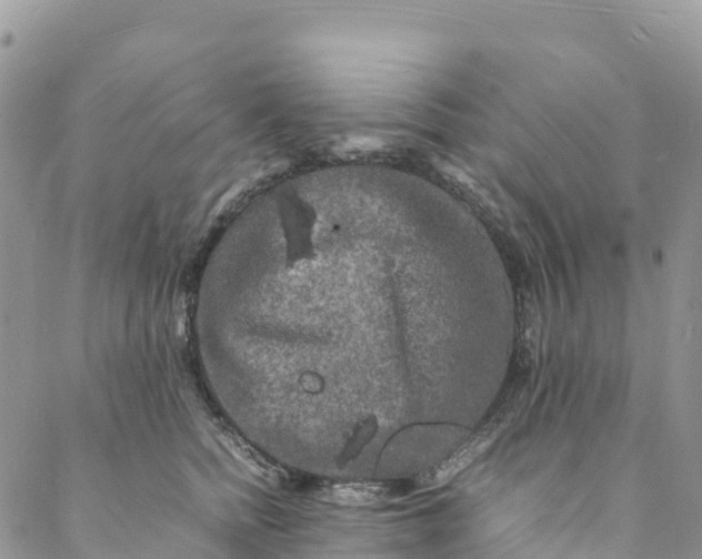 X0000088030758200705251116