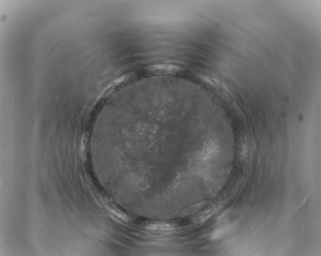 X0000088030759200705251116