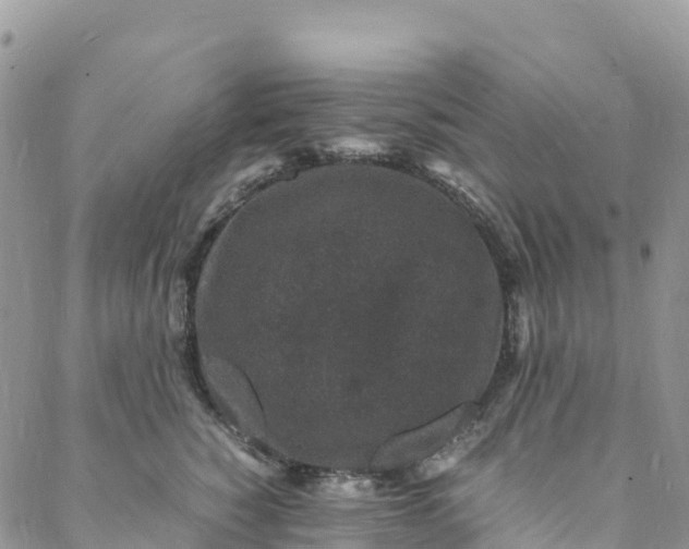 X0000088030760200705251116