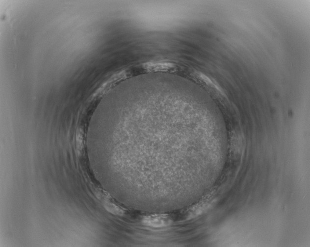 X0000088030761200705251116