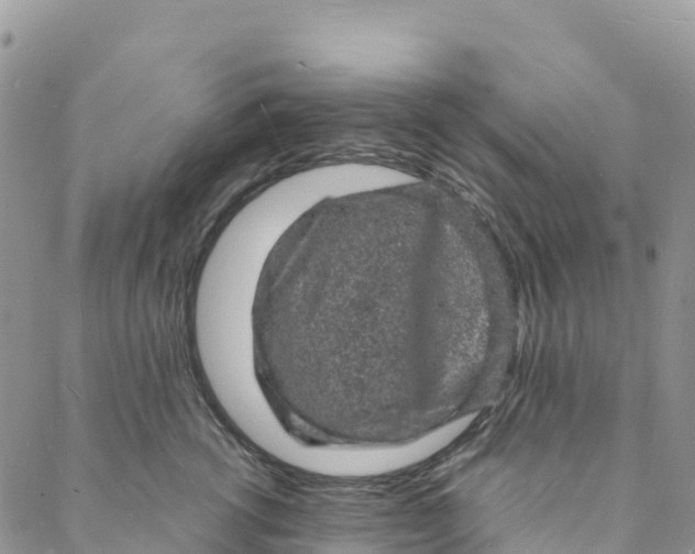 X0000088030762200705251116