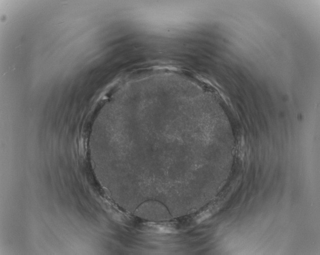 X0000088030763200705251116