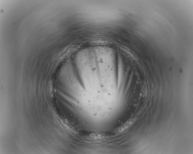 X0000088030764200705251116