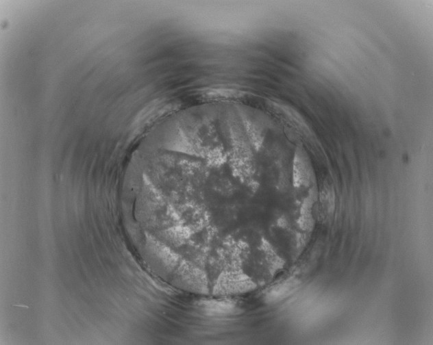 X0000088030765200705251116