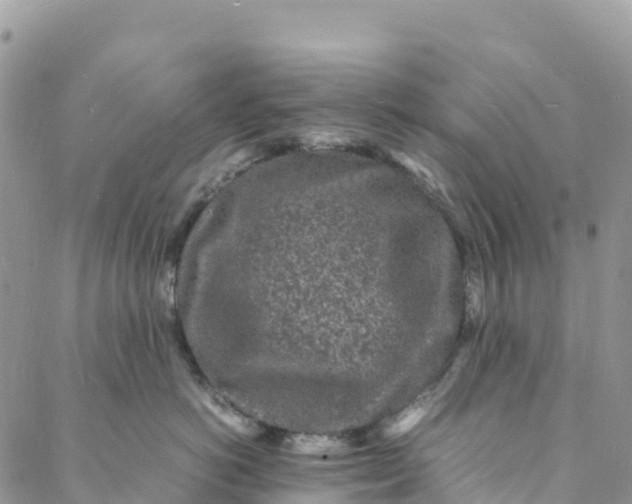 X0000088030766200705251116