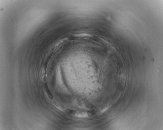 X0000088030767200705251116