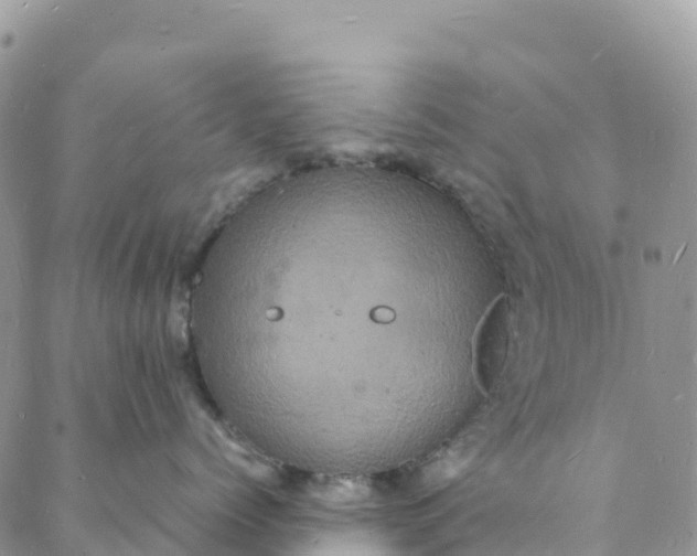 X0000088030768200705251116