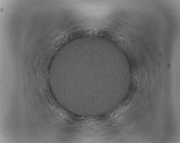 X0000088030769200705251116