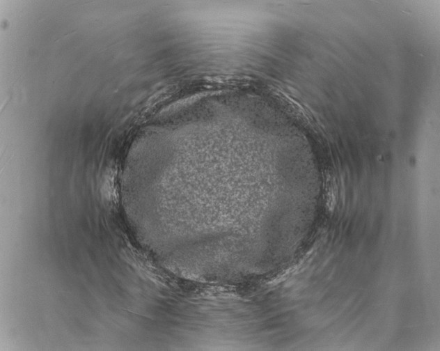 X0000088030770200705251115