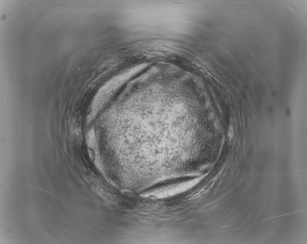 X0000088030771200705251115