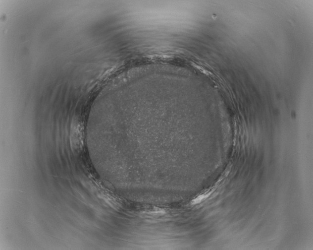 X0000088030772200705251115