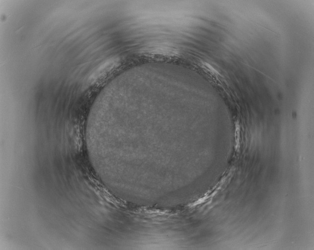 X0000088030774200705251115