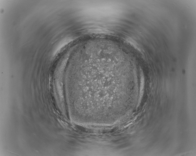 X0000088030775200705251115