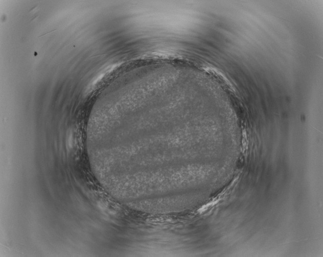 X0000088030776200705251115