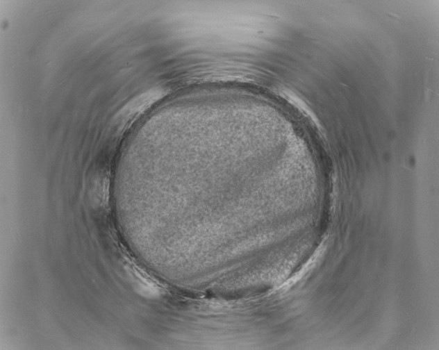 X0000088030777200705251115