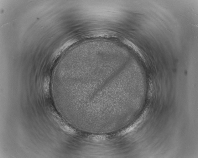 X0000088030778200705251115