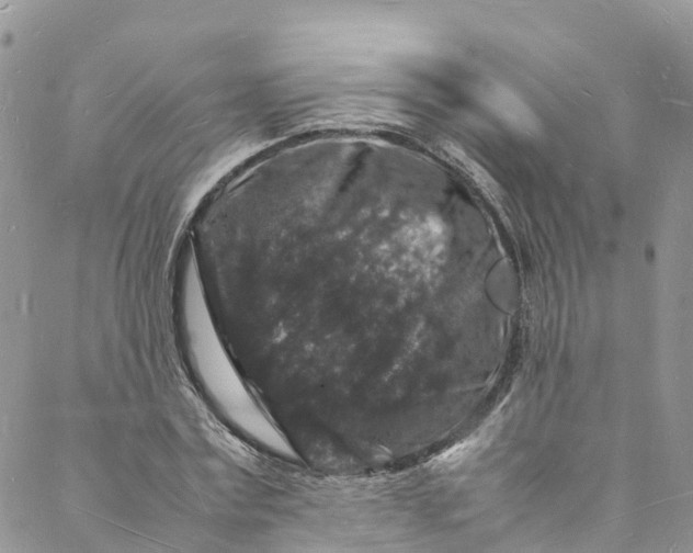 X0000088030779200705251115