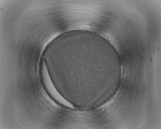 X0000088030780200705251115