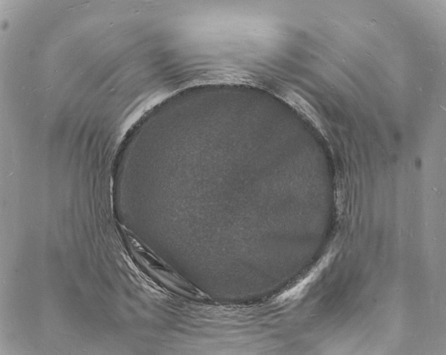 X0000088030781200705251115