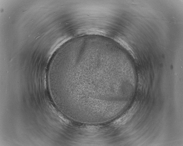 X0000088030782200705251115