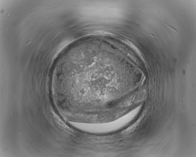 X0000088030783200705251115