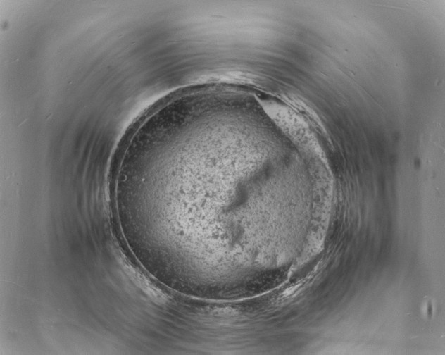 X0000088030784200705251115