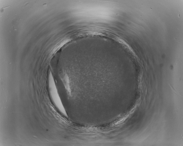 X0000088030785200705251115