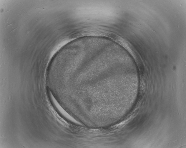 X0000088030787200705251115