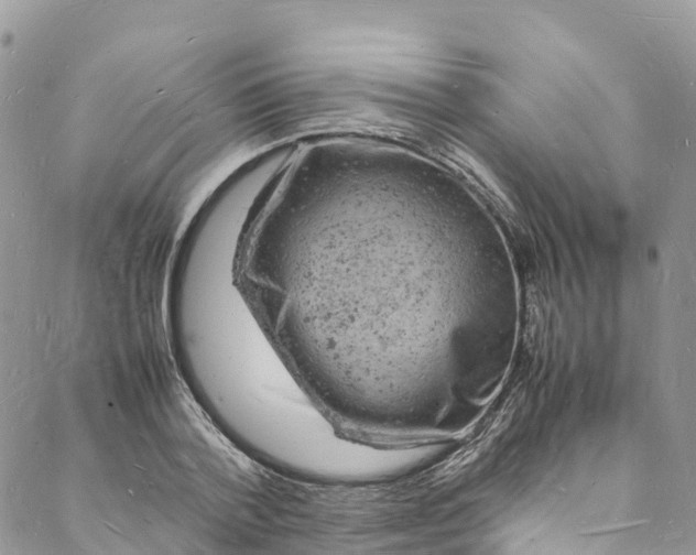 X0000088030788200705251115