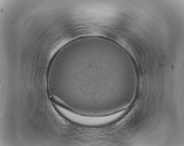 X0000088030789200705251115