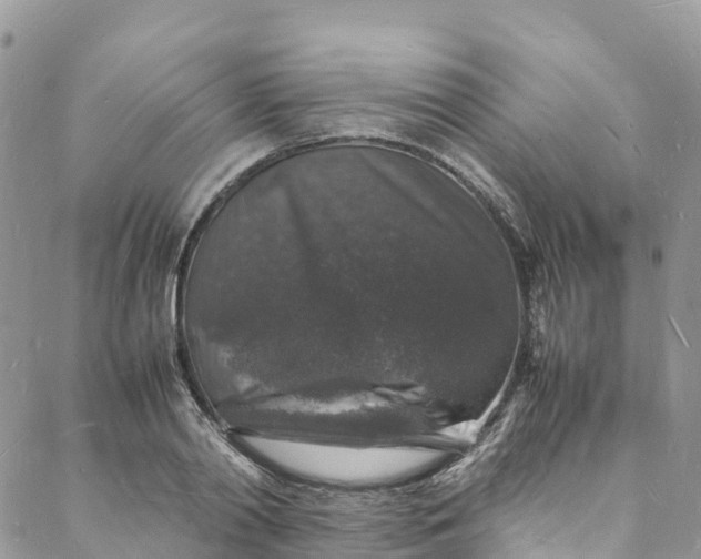 X0000088030790200705251115