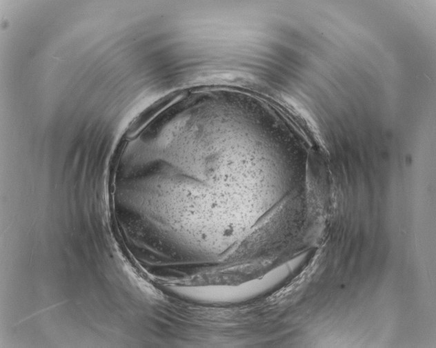 X0000088030792200705251115