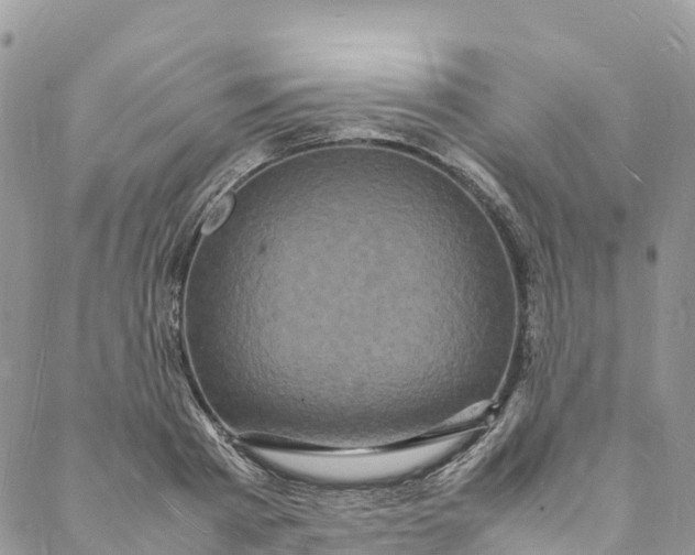 X0000088030793200705251115