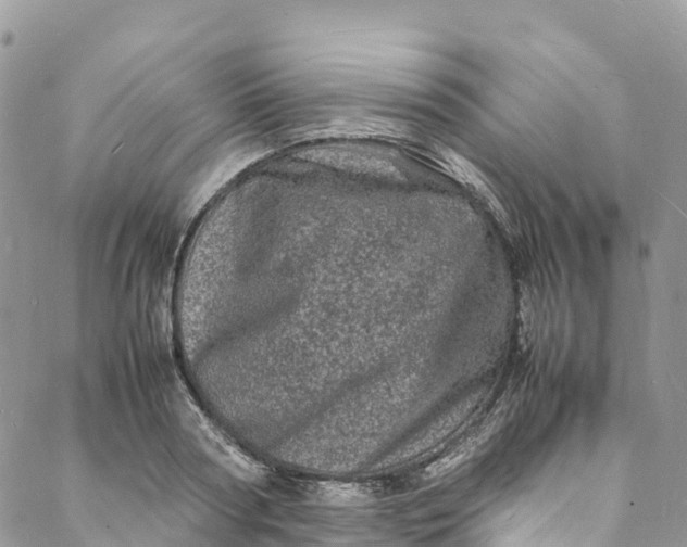 X0000088030794200705251115