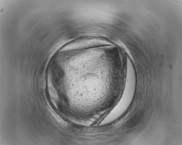 X0000088030795200705251115