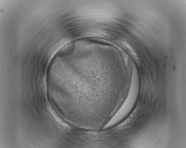 X0000088030796200705251115