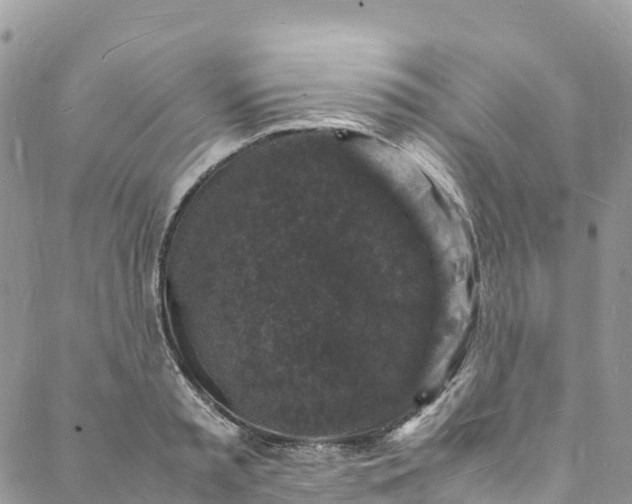 X0000088030797200705251115