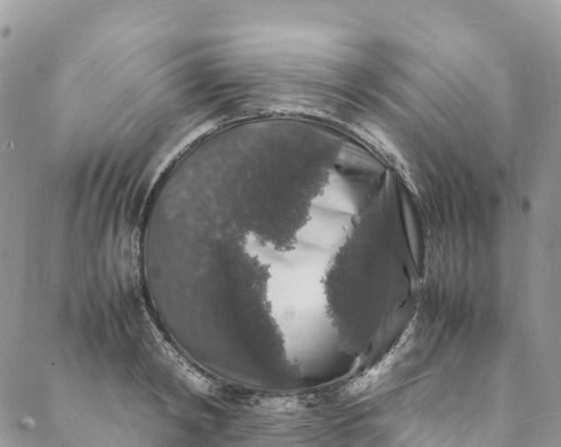 X0000088030798200705251115