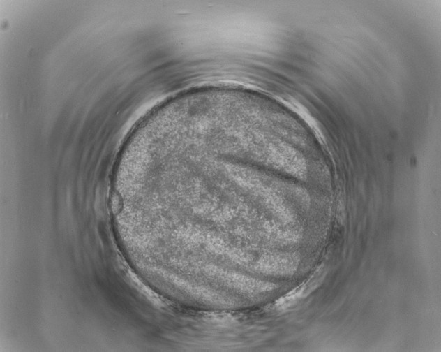 X0000088030799200705251115