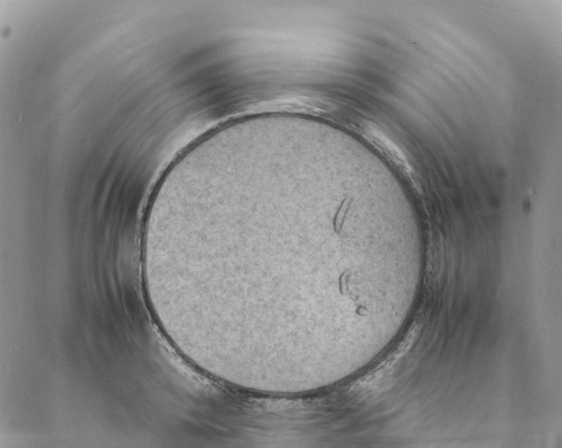 X0000088030800200705251115