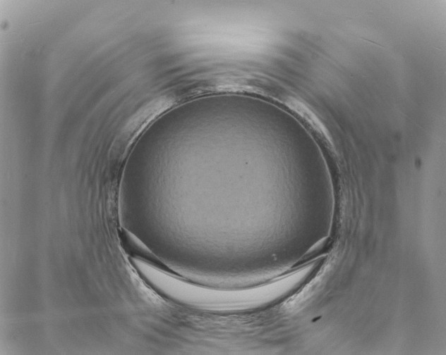 X0000088030801200705251115