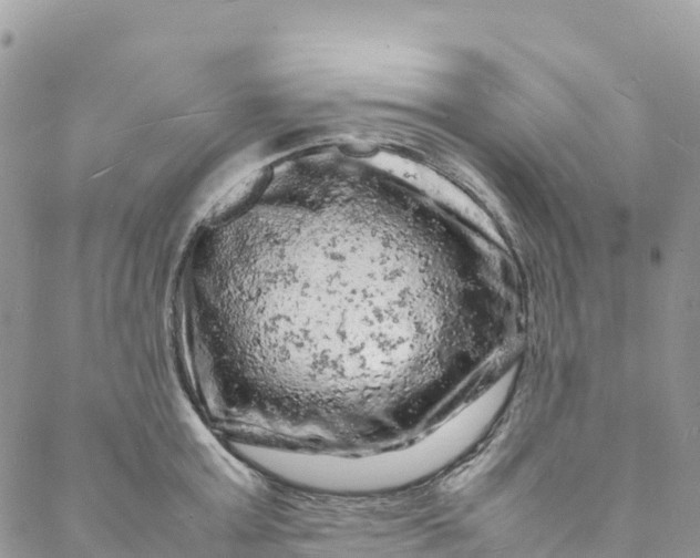 X0000088030803200705251115